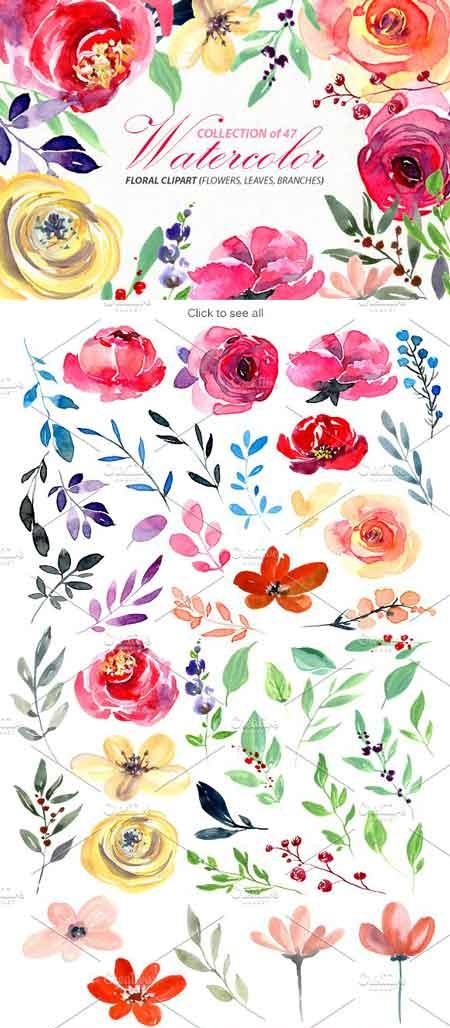 Bright watercolour flowers PNG 1848304