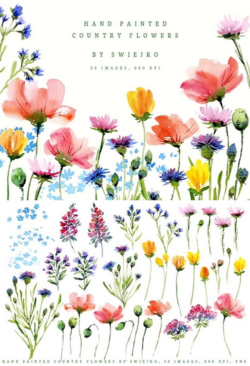 Hand painted country flowers 1861526
