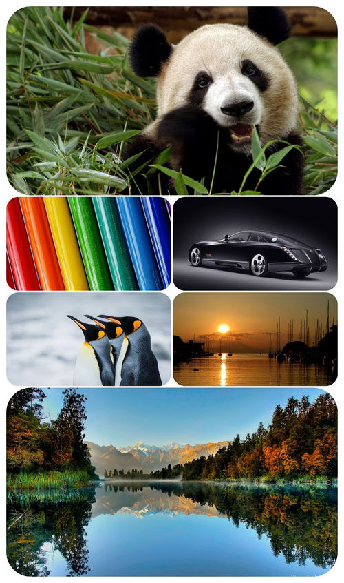 Beautiful Mixed Wallpapers Pack 527