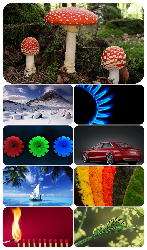 Beautiful Mixed Wallpapers Pack 530