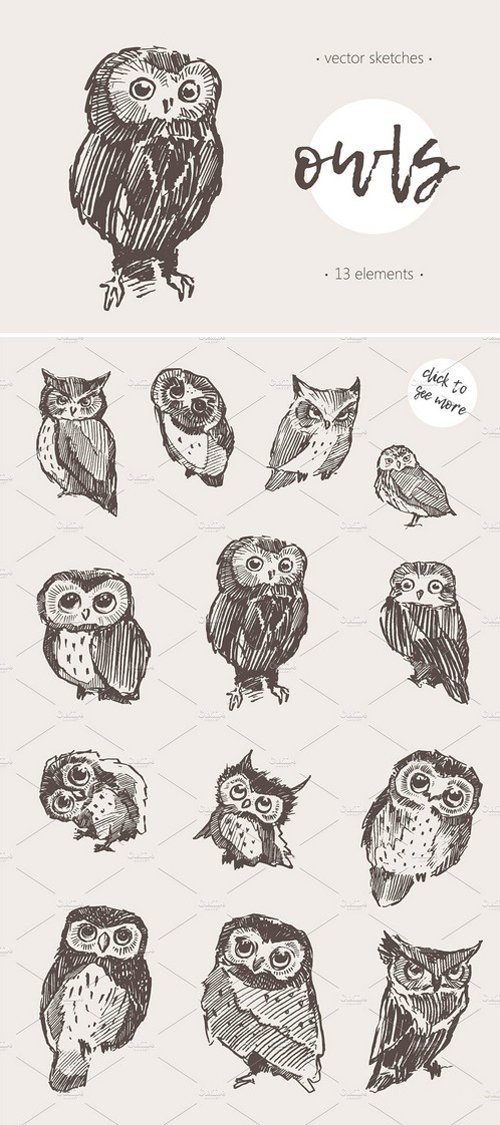 Sketches of owls 1869936