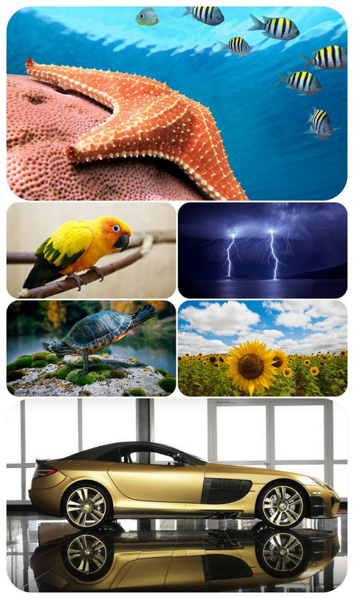 Beautiful Mixed Wallpapers Pack 540