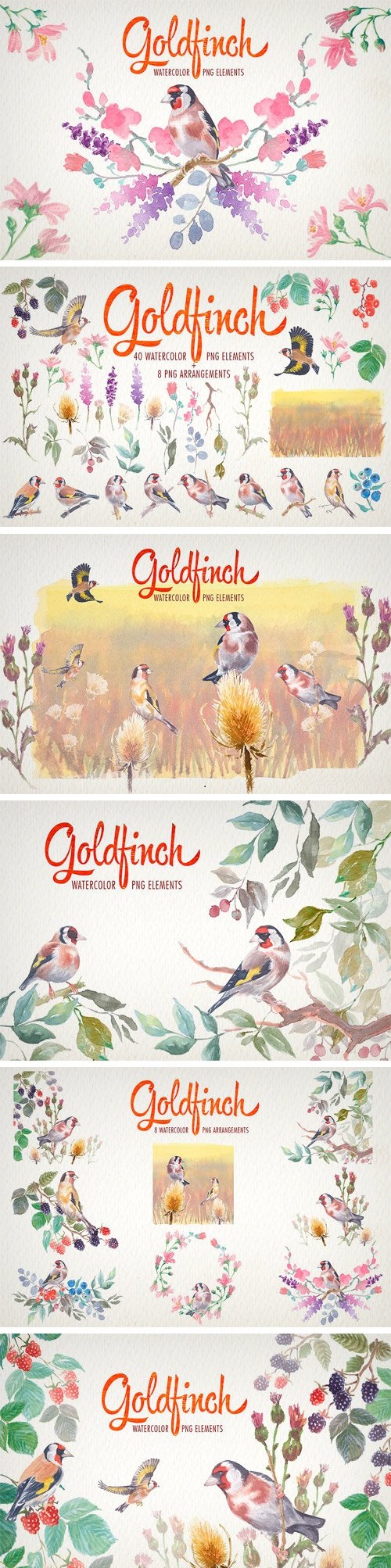 Watercolor Goldfinch Bird Clipart 1922106