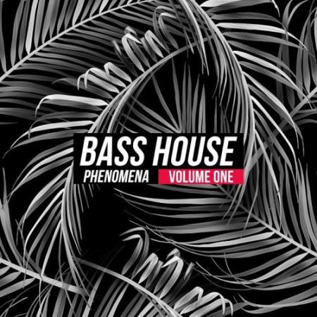 Bass House Phenomena, Vol. 1 (2017)
