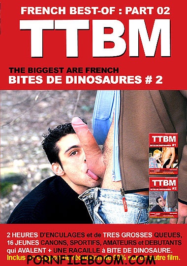 Bites De Dinosaures - French Best-Of 2 (Comme Des Anges)