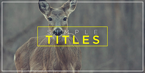 Minimal Transitions & Titles - Project for After Effects (Videohive)
