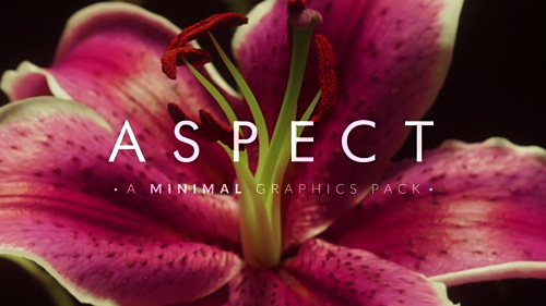 Aspect: 200+ Minimal Graphic Elements - Motion Graphic (rocketstock)