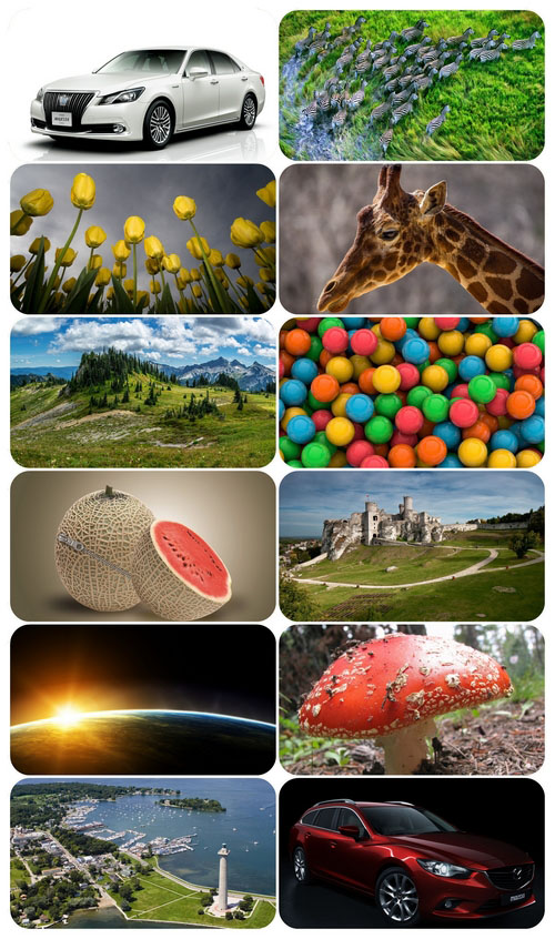 Beautiful Mixed Wallpapers Pack 555