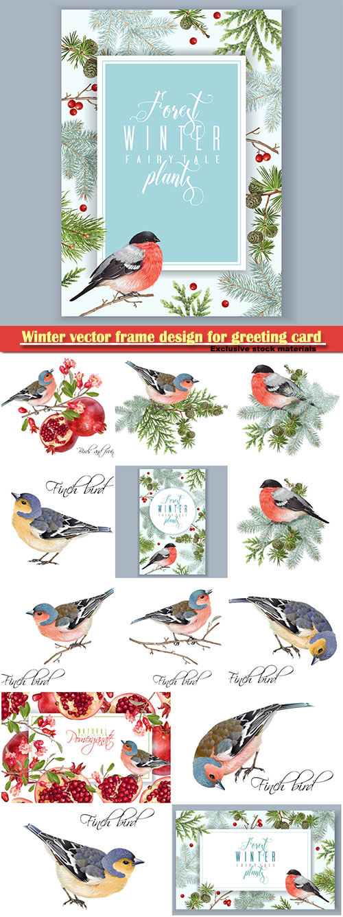 Winter vector frame design for greeting card with forest branches and bullfinch, Christmas party invitation