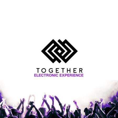 Together Electronic Experience, Vol. 03 (2017)