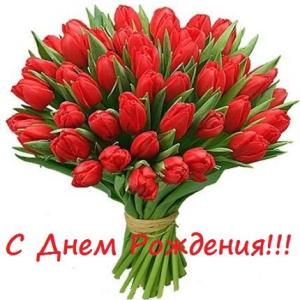 Поздравляем с Днем Рождения Светлану (Светлана Макарова) 930fa73f7ddb32bc06c5f7e762407a45