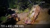     / Redwood Kings (7- ) (2013) HDTVRip
