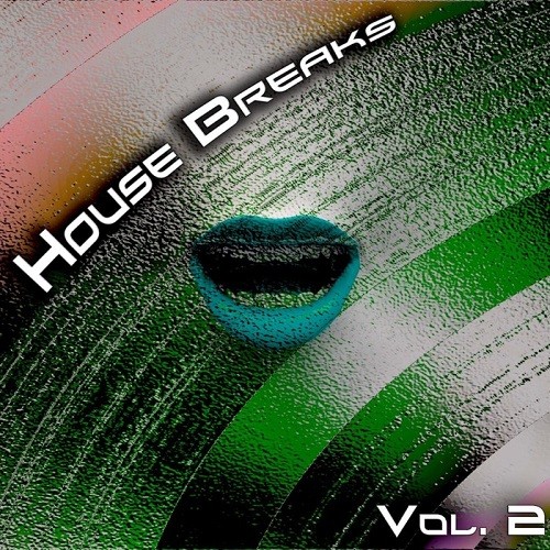 House Breaks Vol.2 (2017)
