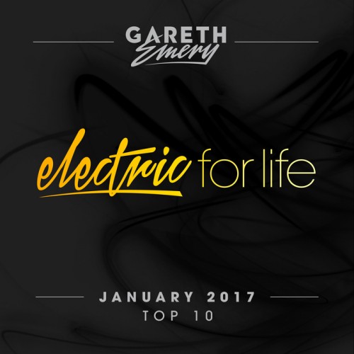 Electric For Life Top 10: January 2017