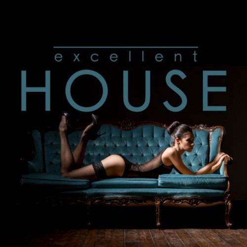 VA - Excellent House (2017)