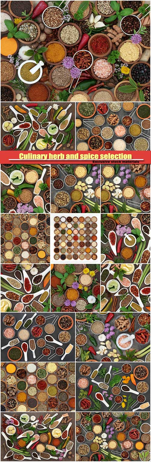 Culinary herb and spice selection