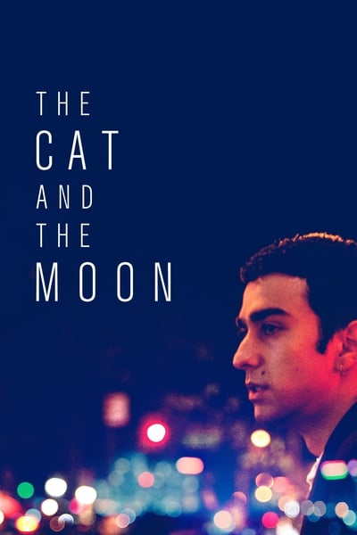 The Cat And The Moon 2019 1080p WEB-DL H264 AC3-EVO
