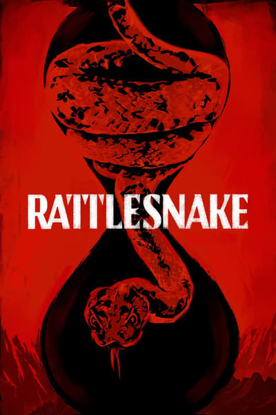 Rattlesnake 2019 1080p NF WEB-DL DDP5 1 x264-NTG