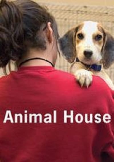 Animal House S05E08 HDTV x264-LINKLE