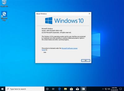 Windows 10 Pro 19H2 v1909 Build 18363.418 x64 OEM MULTi 24